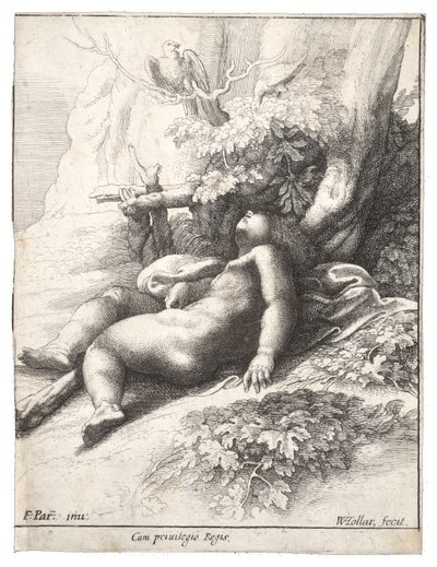 Infante Ercole addormentato, dopo Parmigianino. Stato 4 da Wenceslaus Hollar
